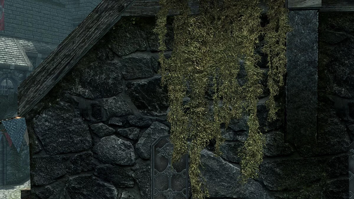 Elder Scrolls 5: Skyrim Special Edition — Висячий мох в 1К и 2К