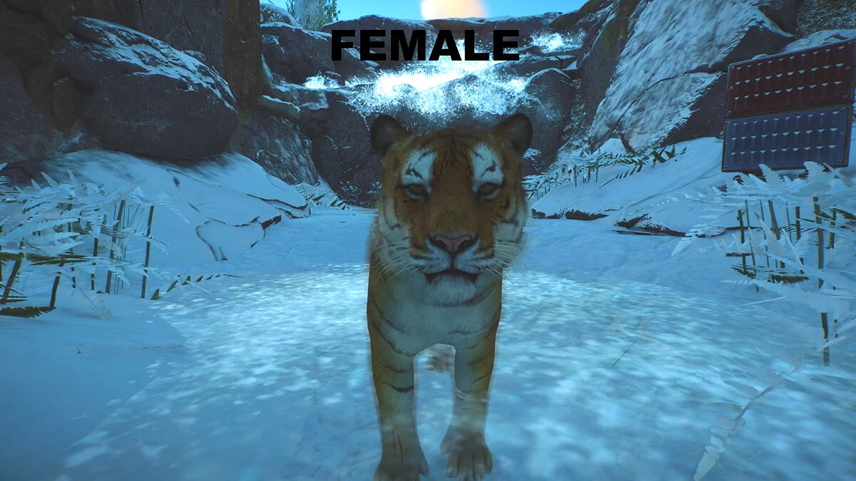 Planet Zoo — Улучшенный сибирский тигр