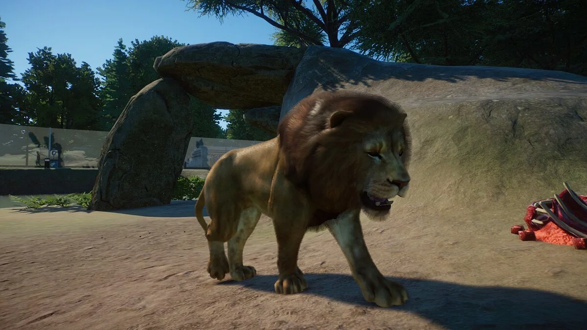 Planet Zoo — Leones mejorados