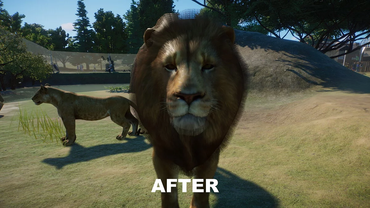 Planet Zoo — Улучшенные львы