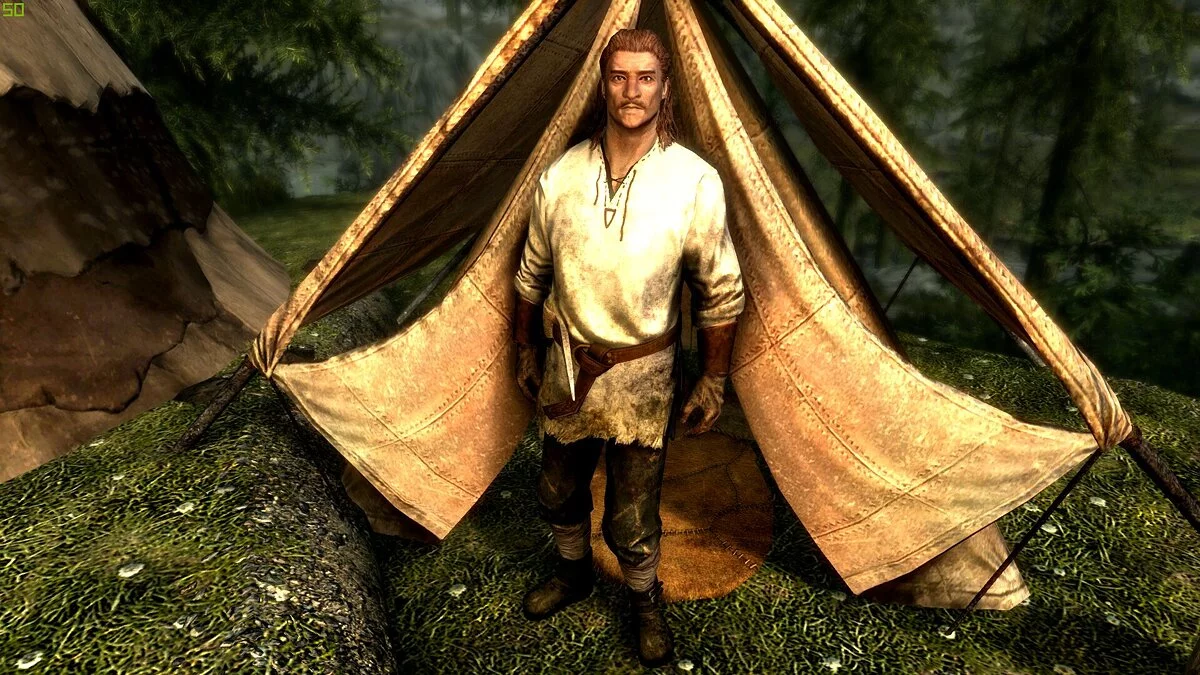 Elder Scrolls 5: Skyrim Special Edition — Механика освобождения поселений из The Witcher 3