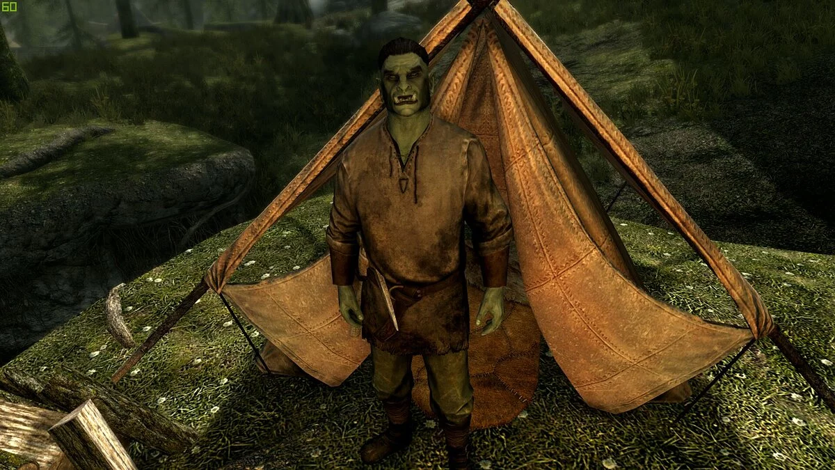 Elder Scrolls 5: Skyrim Special Edition — Механика освобождения поселений из The Witcher 3