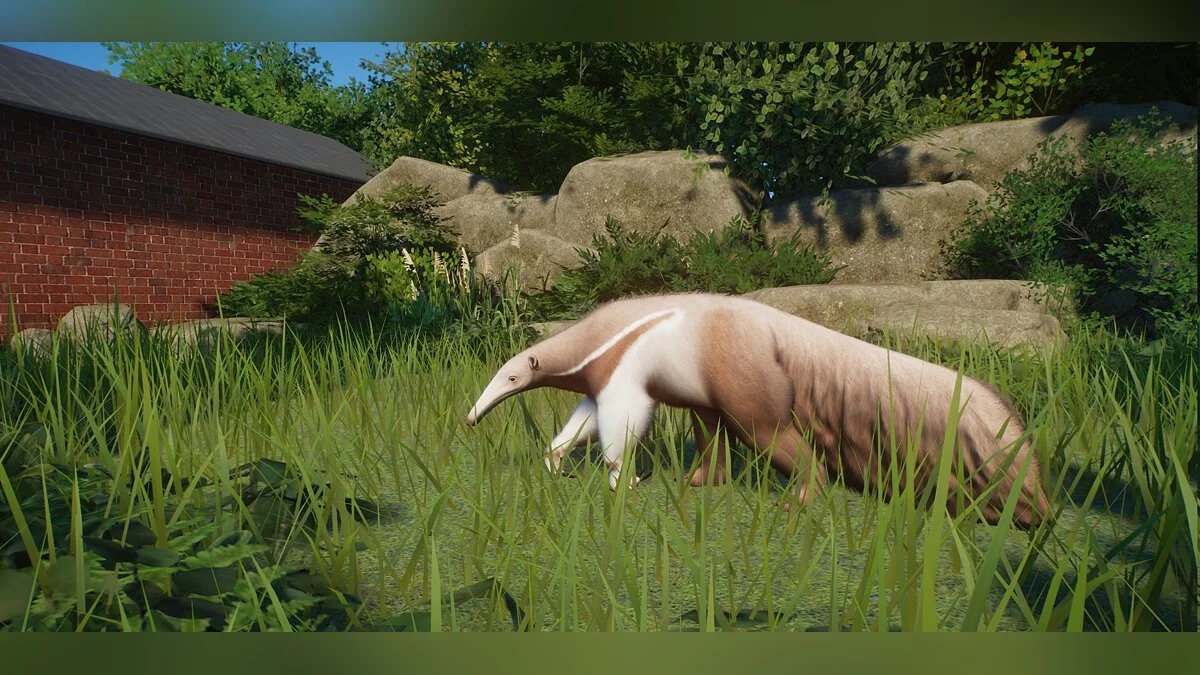 Planet Zoo — Улучшенный муравьед