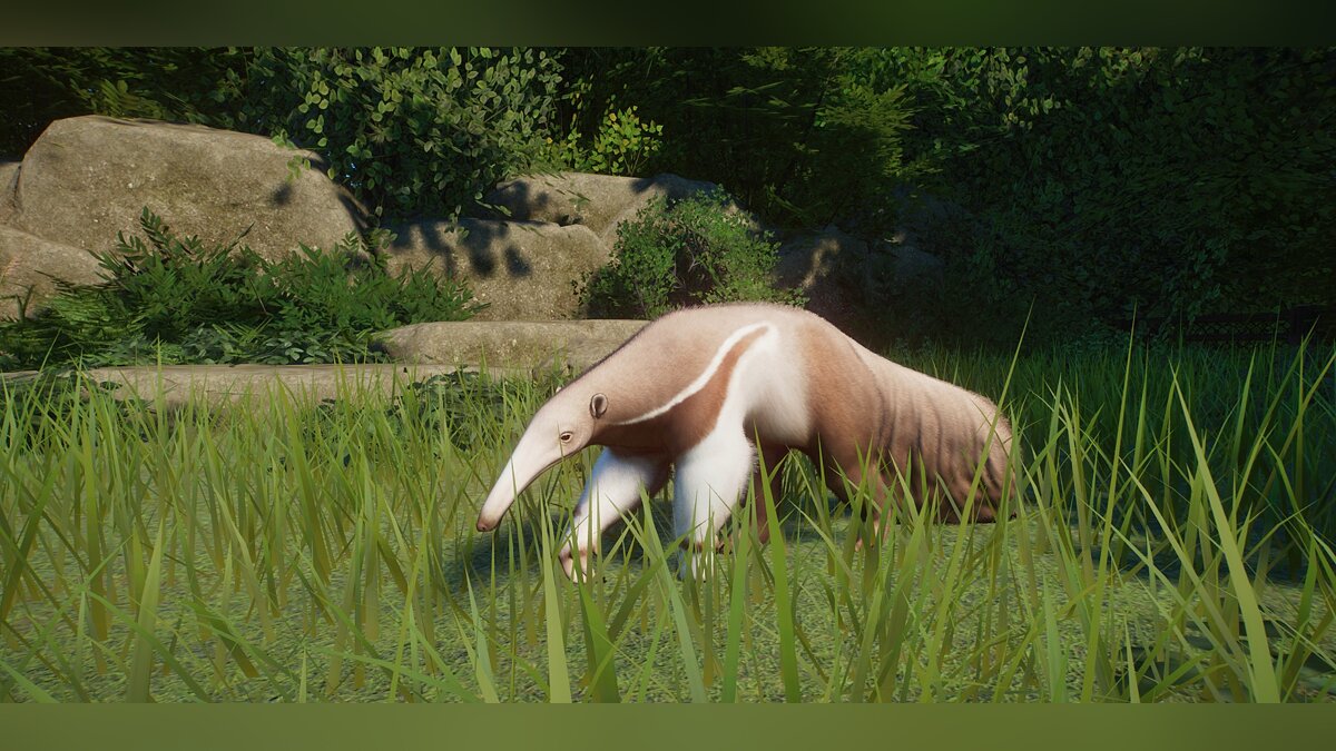 Planet Zoo — Improved Anteater