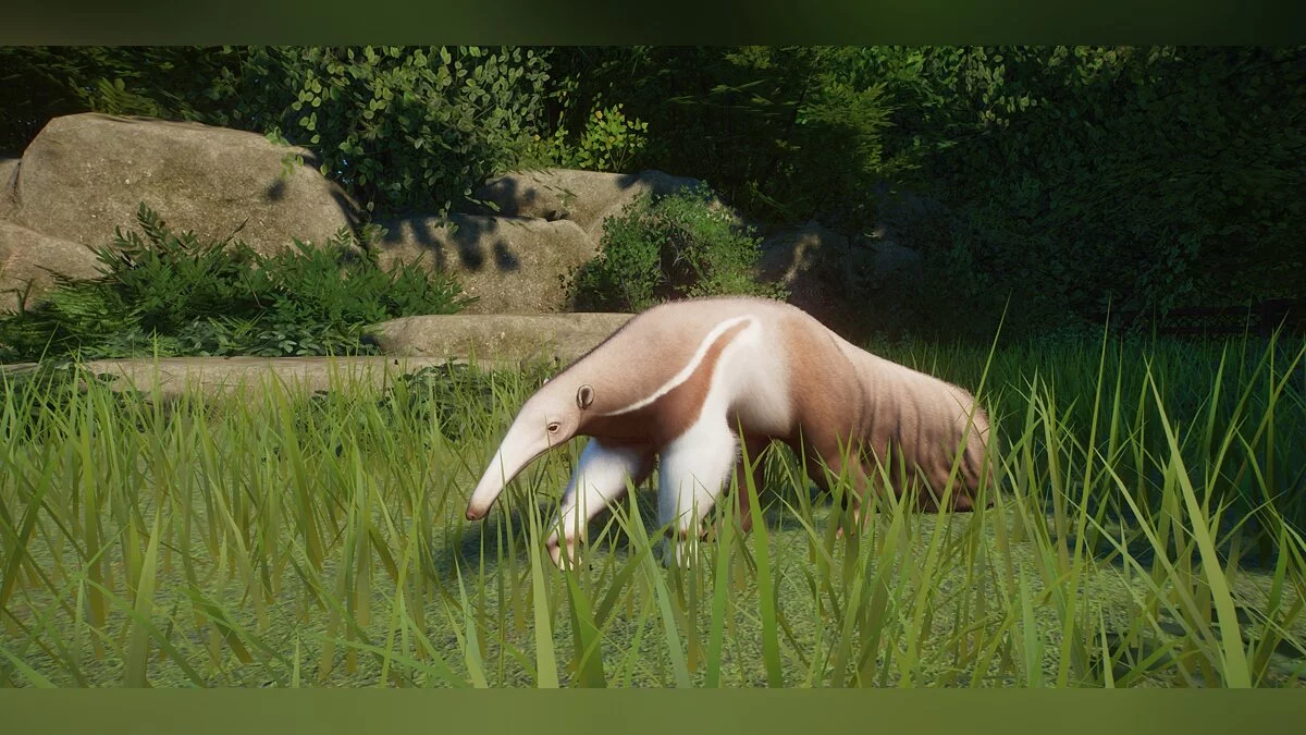 Planet Zoo — Oso hormiguero mejorado