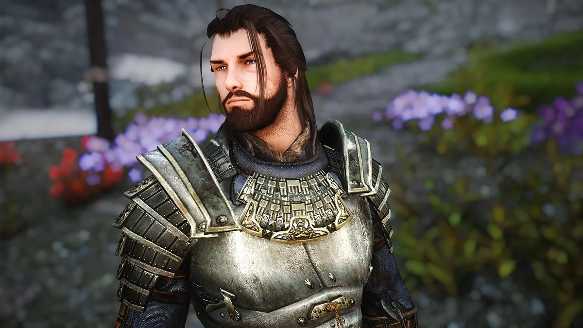 The Elder Scrolls 5: Skyrim Legendary Edition — Компаньон Лорд Генри де Сильва