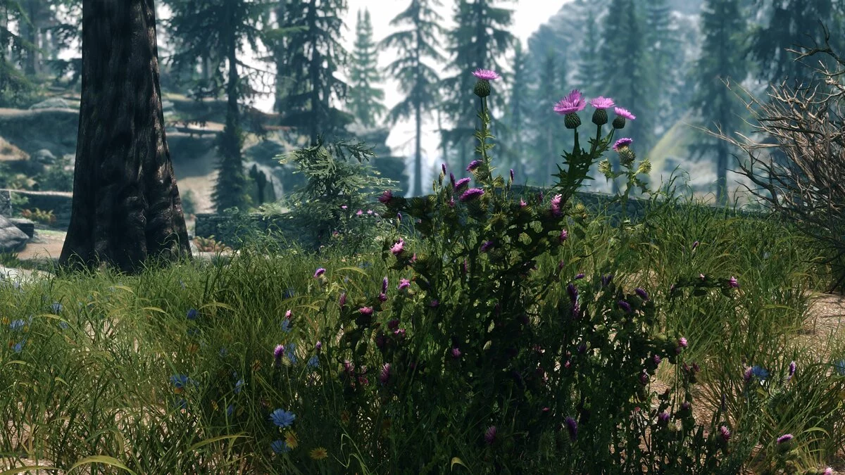The Elder Scrolls 5: Skyrim Legendary Edition — Улучшенный чертополох
