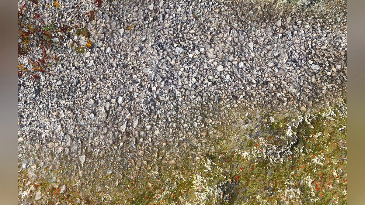 The Elder Scrolls 5: Skyrim — Skyrim 2020 3.5 - Текстури високої якості