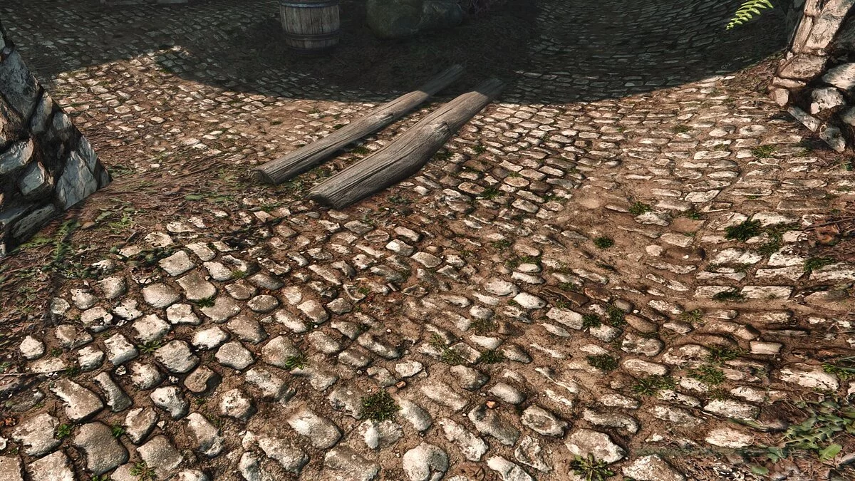 The Elder Scrolls 5: Skyrim — Skyrim 2020 3.5 - Текстури високої якості