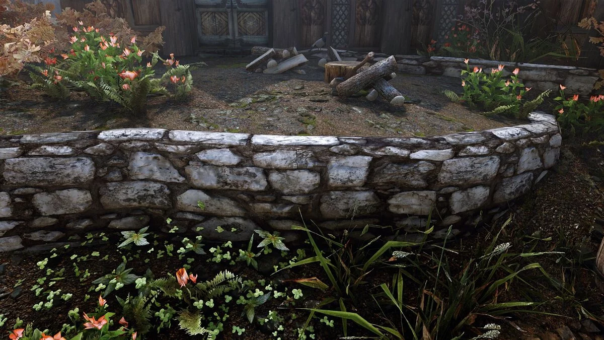 The Elder Scrolls 5: Skyrim — Skyrim 2020 3.5 - Текстури високої якості