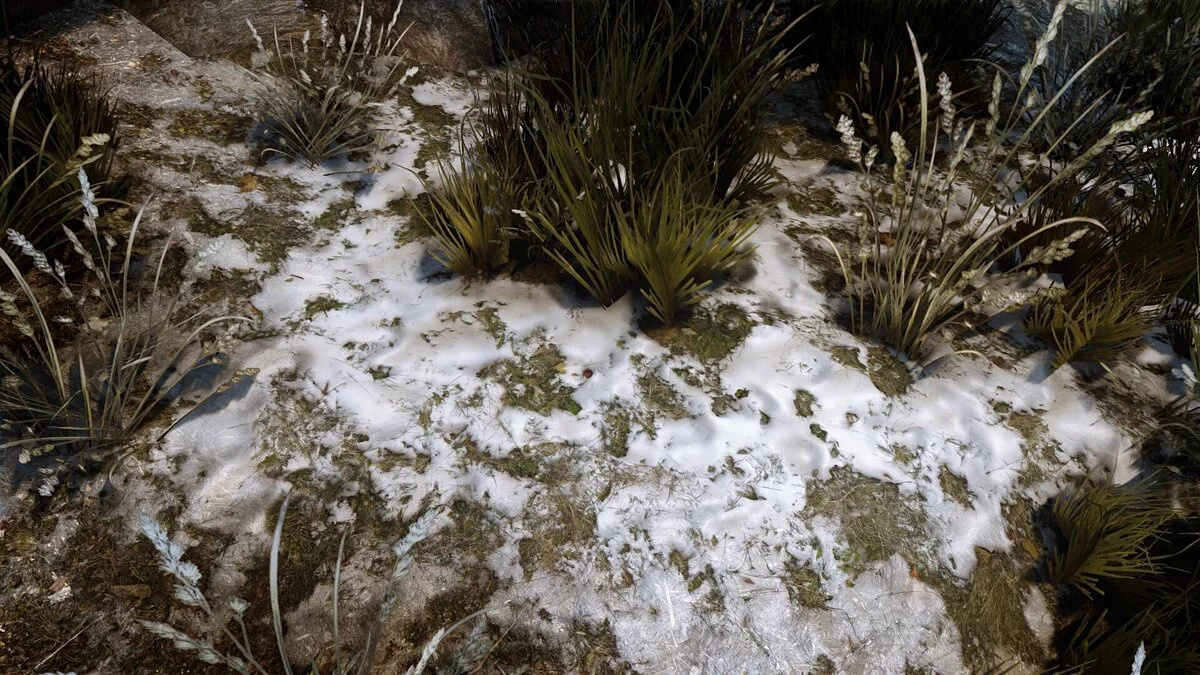 The Elder Scrolls 5: Skyrim — Skyrim 2020 3.5 - Текстури високої якості