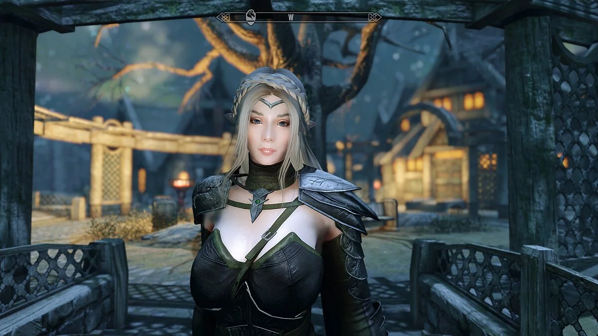 Elder Scrolls 5: Skyrim Special Edition — Companion Nina