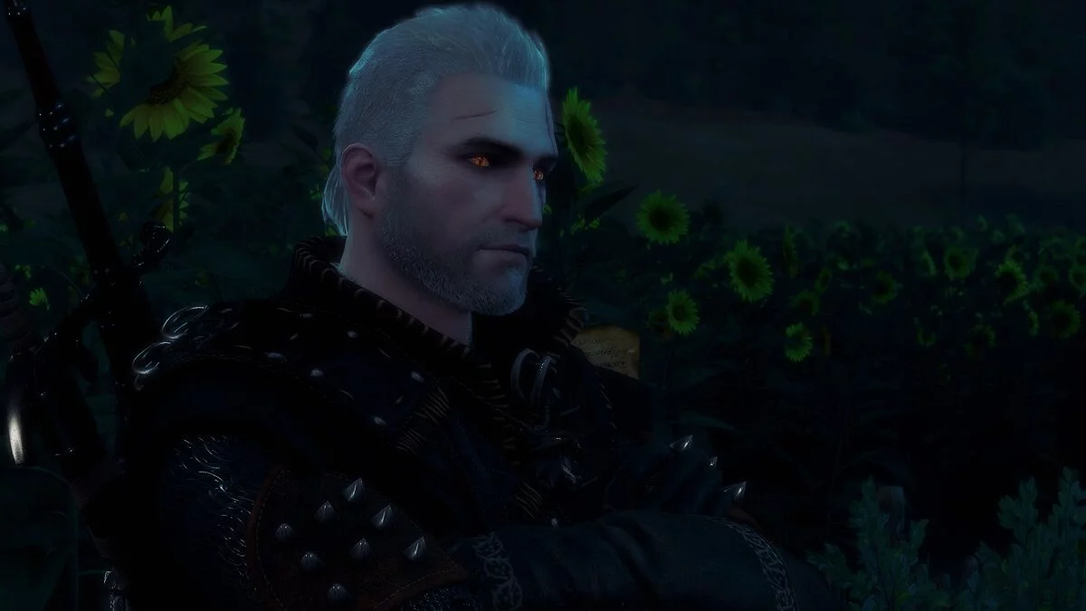 The Witcher 3: Wild Hunt - Complete Edition — Улучшенная графика