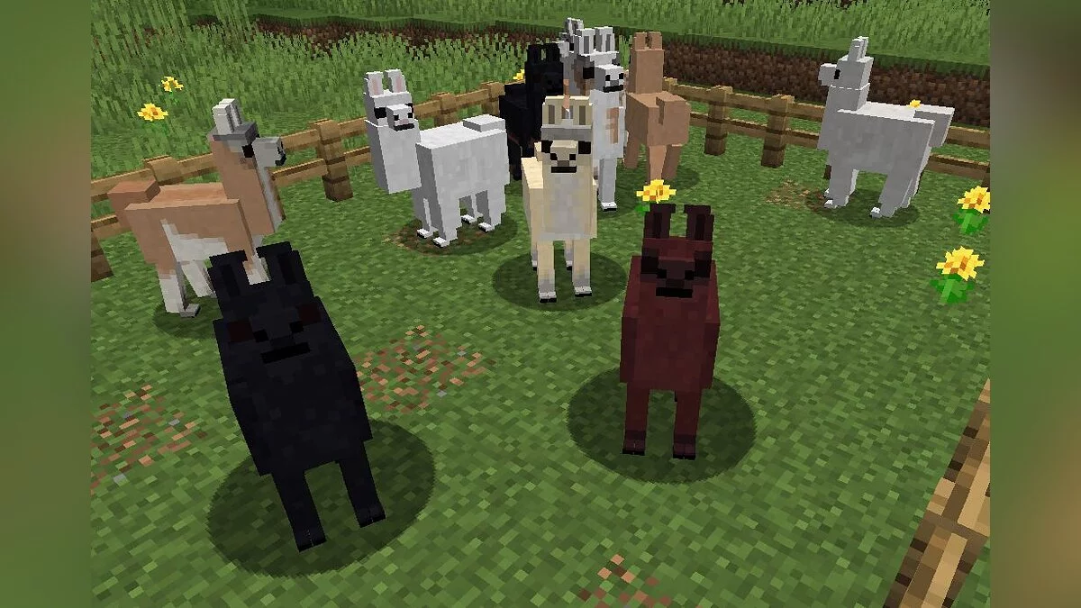 Minecraft — Genetic Animals - реалистичные животные, генетика [1.15.2] [Forge]