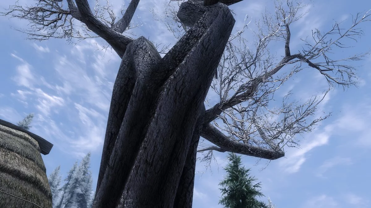 Elder Scrolls 5: Skyrim Special Edition — Dried trees in HD