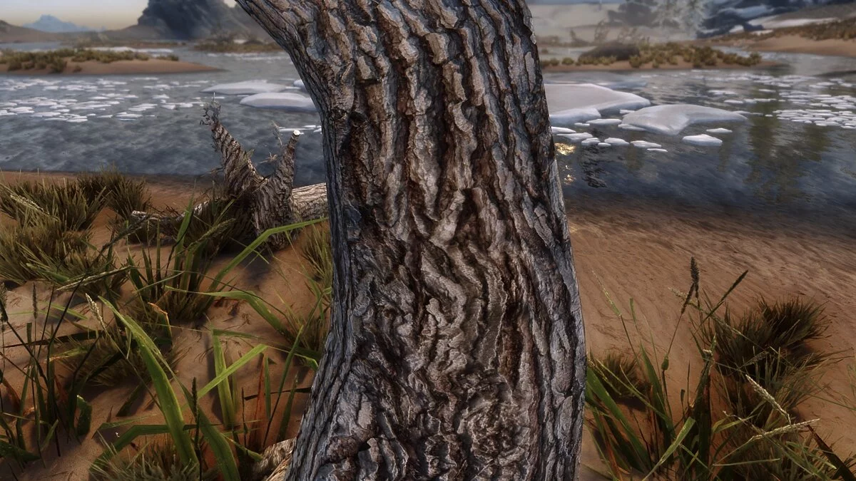 Elder Scrolls 5: Skyrim Special Edition — Высохшие деревья в HD