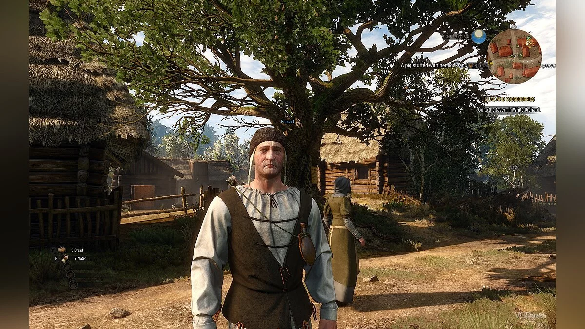 The Witcher 3: Wild Hunt — Улучшенные модели персонажей вне диалогов