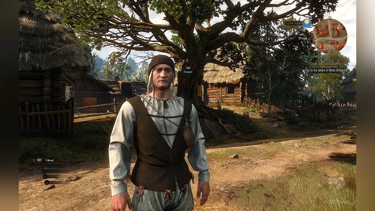 The Witcher 3: Wild Hunt — Улучшенные модели персонажей вне диалогов