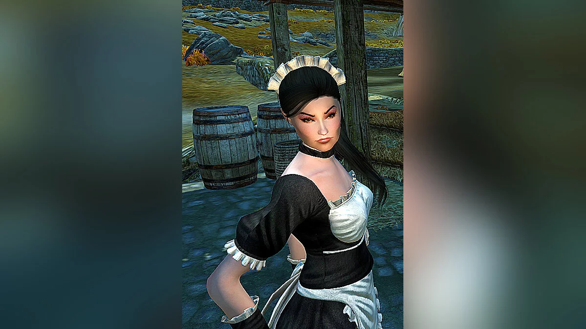 Elder Scrolls 5: Skyrim Special Edition — Компаньон SashaDream