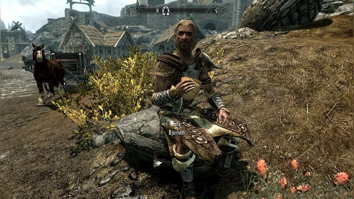 The Elder Scrolls 5: Skyrim Legendary Edition — Броня для извозчиков