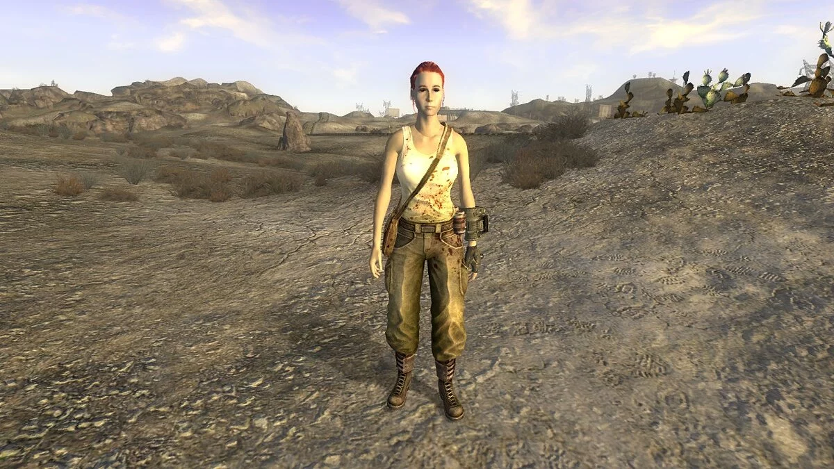 Fallout: New Vegas — Armored clothing