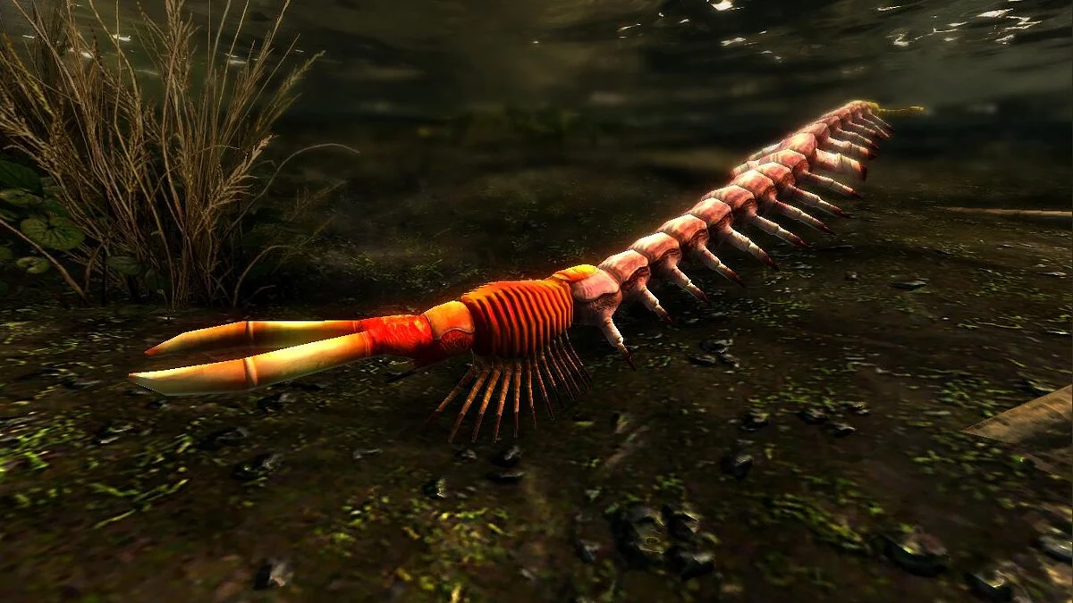 Elder Scrolls 5: Skyrim Special Edition — Гигантские сороконожки