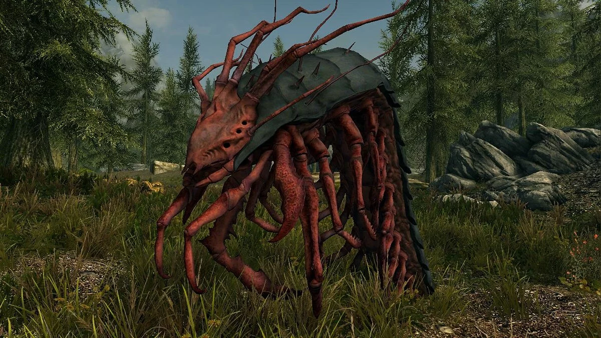 Elder Scrolls 5: Skyrim Special Edition — Гигантские сороконожки