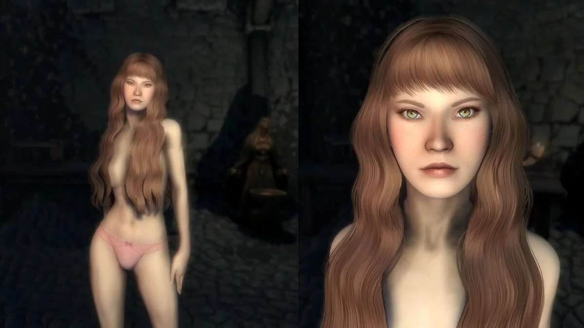Elder Scrolls 5: Skyrim Special Edition — HD пресеты женских персонажей
