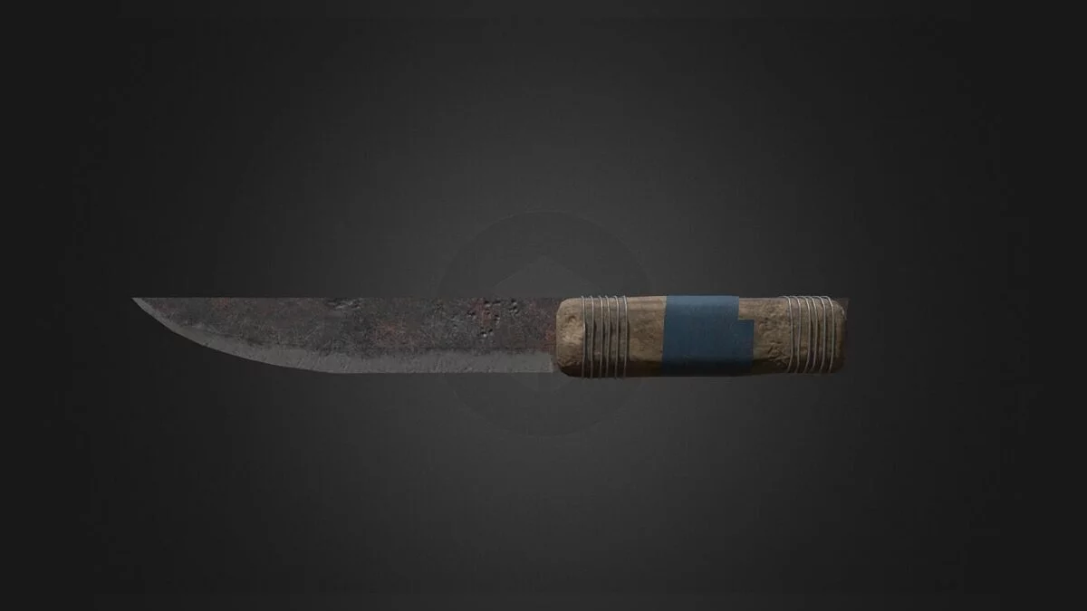 Blade and Sorcery — Household knife