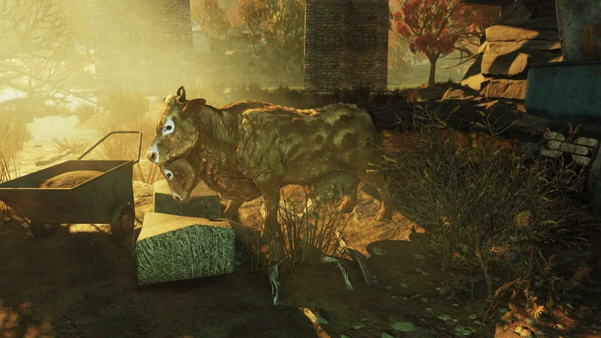 Fallout 76 — Покращений брамін