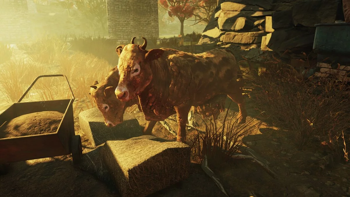 Fallout 76 — Покращений брамін