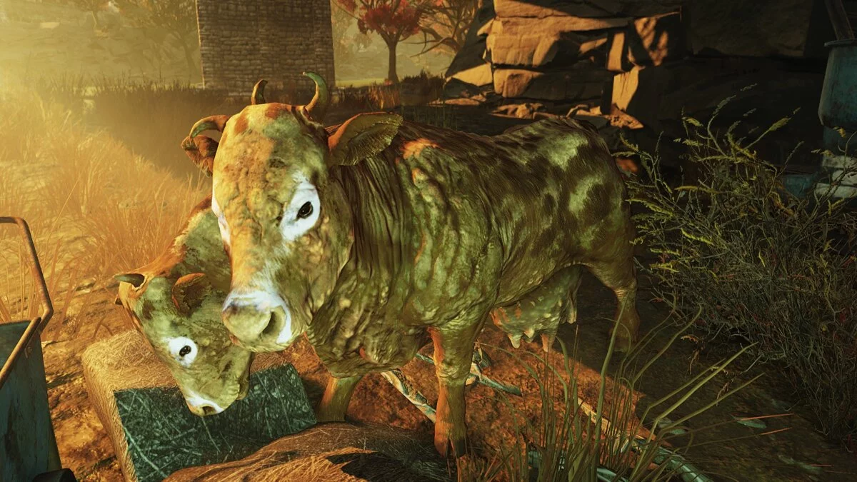 Fallout 76 — Покращений брамін
