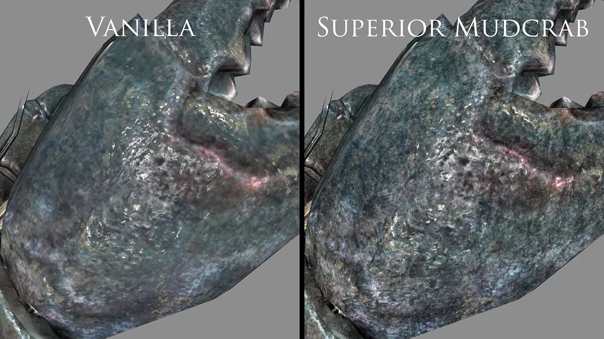 Elder Scrolls 5: Skyrim Special Edition — Улучшенный грязекраб