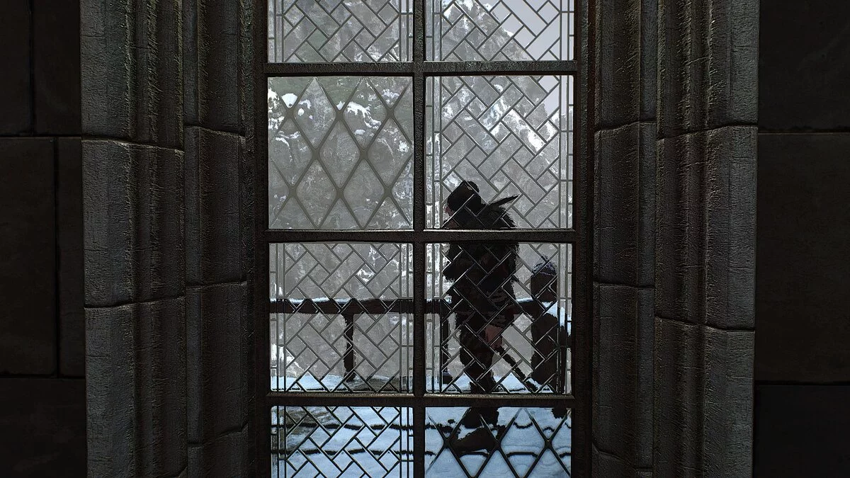 The Witcher 3: Wild Hunt - Complete Edition — Fixing a blurry window view