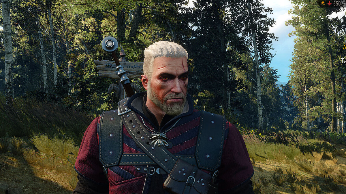 The Witcher 3: Wild Hunt - Complete Edition — Viking style haircut