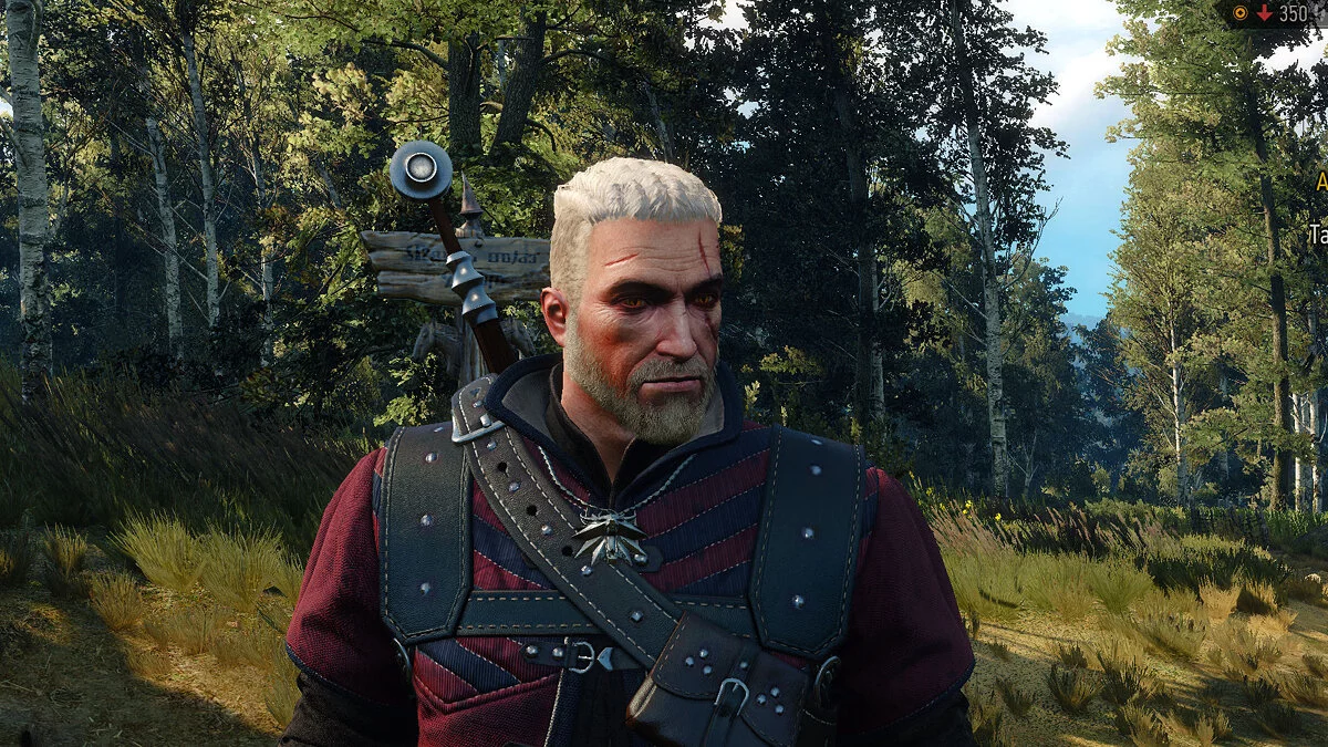 The Witcher 3: Wild Hunt - Complete Edition — Corte de pelo estilo vikingo