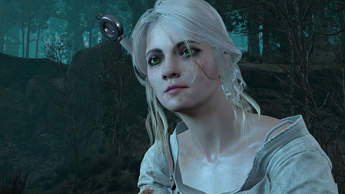 The Witcher 3: Wild Hunt - Complete Edition — Ciri from the Netflix series