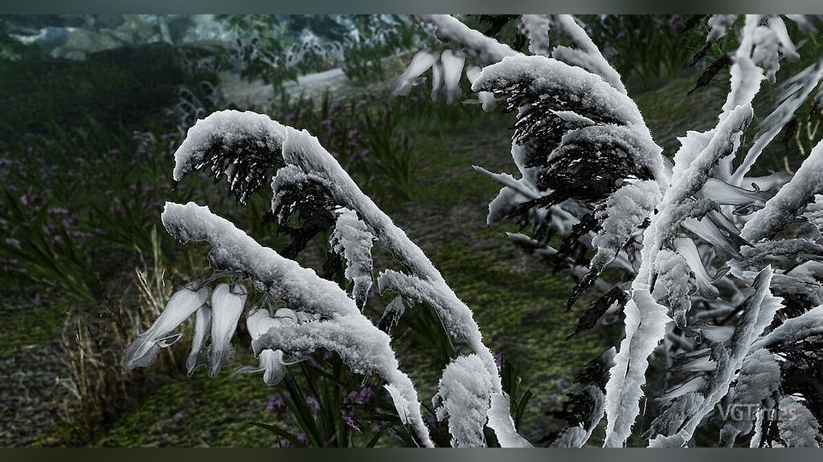 The Elder Scrolls 5: Skyrim — Snowy grass