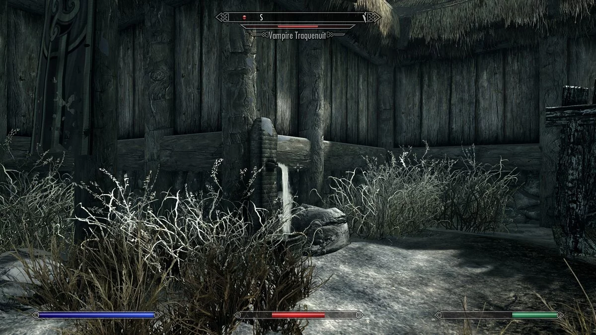 Elder Scrolls 5: Skyrim Special Edition — Питьевые фонтанчики