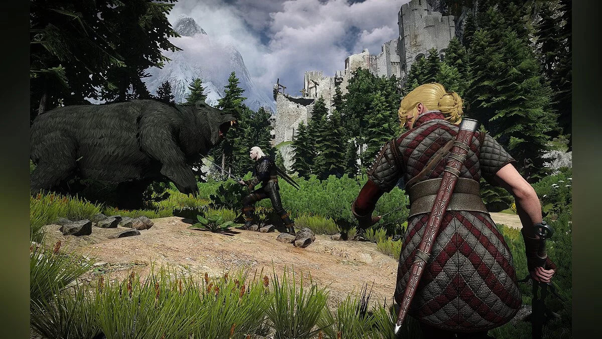 The Witcher 3: Wild Hunt - Complete Edition — Альтернативный костюм и внешний вид Цири