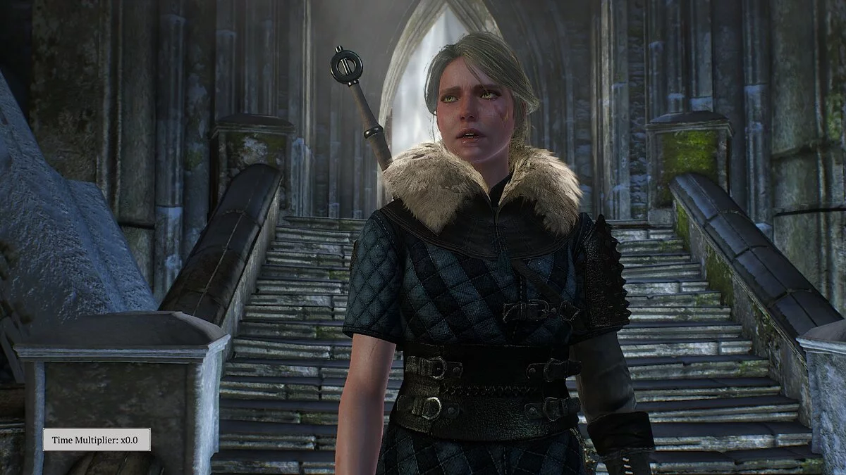 The Witcher 3: Wild Hunt - Complete Edition — Новая броня для Цири