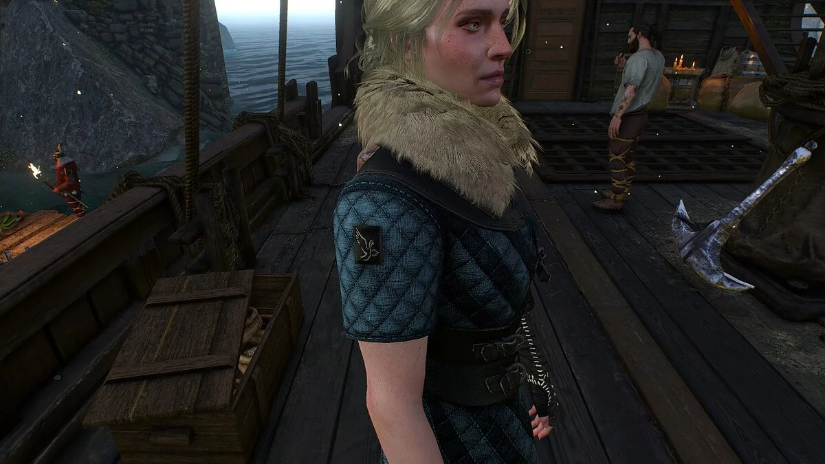 The Witcher 3: Wild Hunt - Complete Edition — Новая броня для Цири