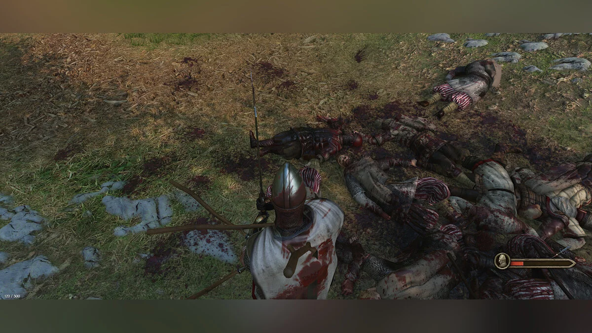 Mount &amp; Blade 2: Bannerlord — Більше крові