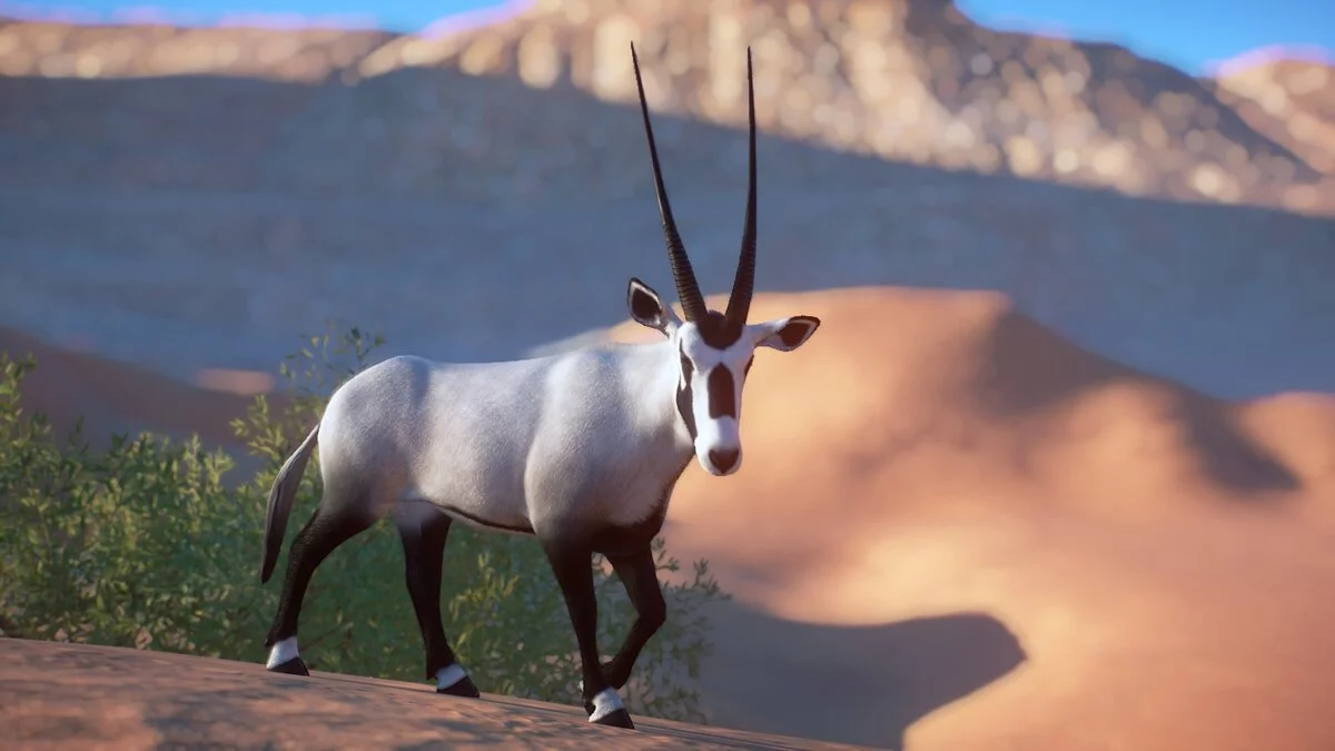 Planet Zoo — Arabian oryx