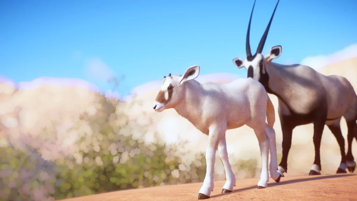 Planet Zoo — Арабський орікс
