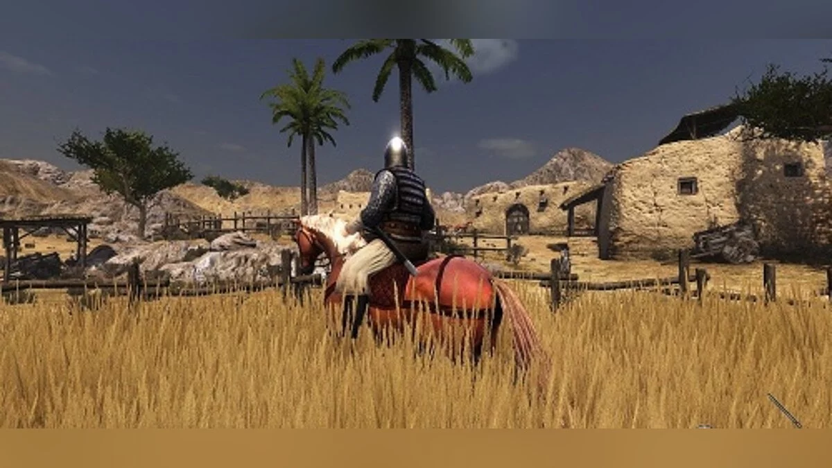 Mount &amp; Blade 2: Bannerlord — Conservación (9.000.000 de oro, 1 castillo, 1 ciudad)