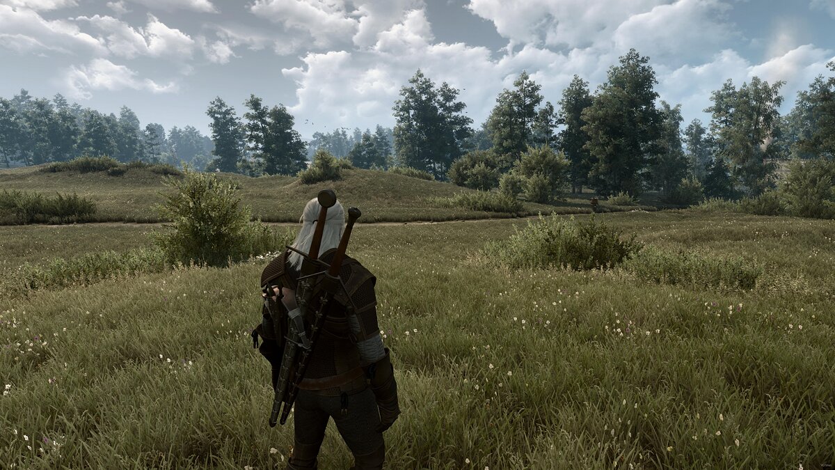 The Witcher 3: Wild Hunt — Various grass