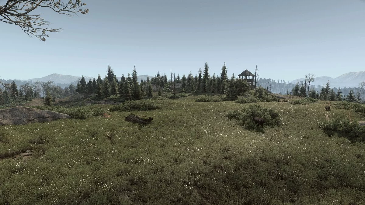 The Witcher 3: Wild Hunt — Різноманітна трава