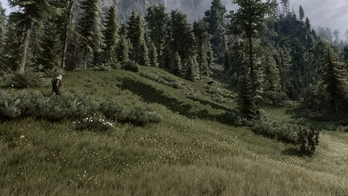 The Witcher 3: Wild Hunt — Різноманітна трава