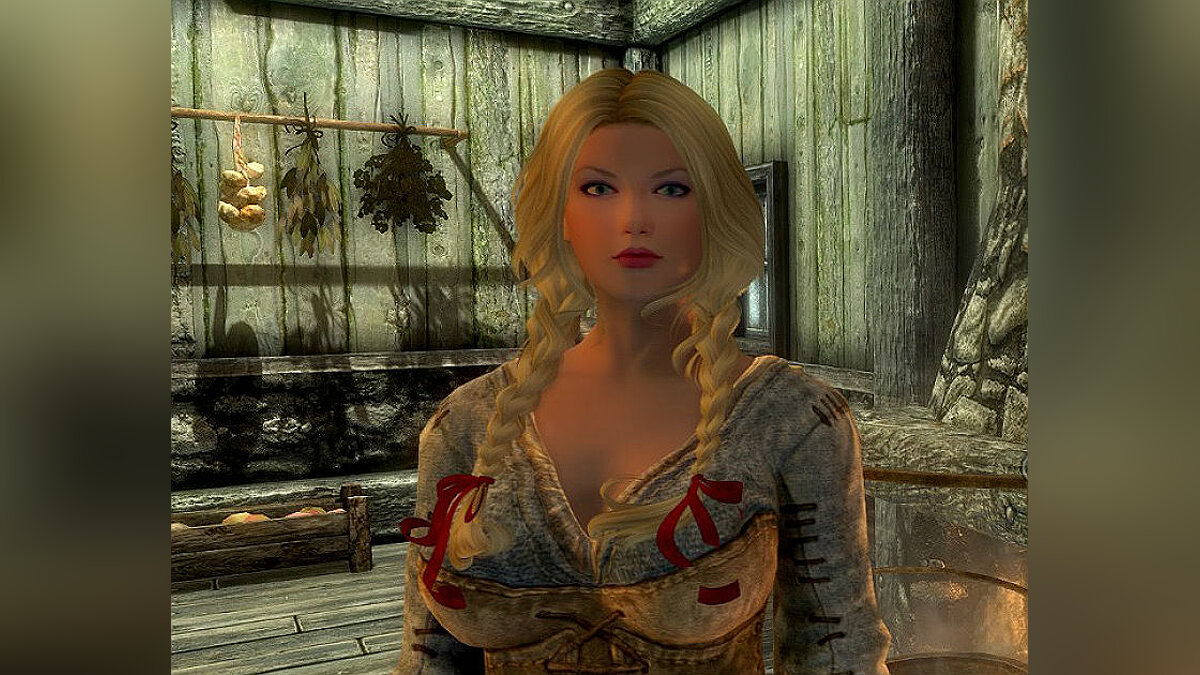 Elder Scrolls 5: Skyrim Special Edition — Companion Anna